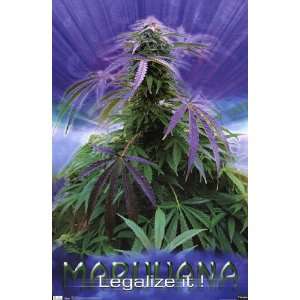  Marijuana   Legalize It   Poster (22x34)