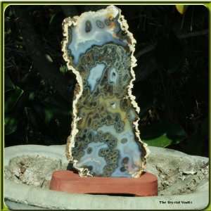 Brazilian Agate Collector Slab