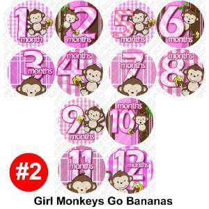 GIRL BANANA MONKEYS Baby Month Onesie Stickers Baby Shower Gift Photo 