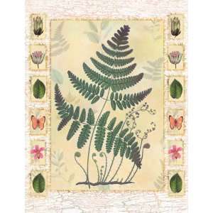 Walter Robertson   Tropical Leather Fern Size 10x8 by Walter Robertson 