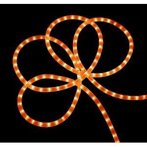   18 Neon Orange Indoor/Outdoor Christmas Rope Lights