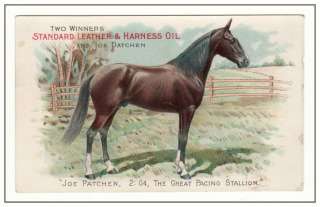 1886 JOE PATCHEN Harness Racing VICTORIAN TRADE CARD Standard Oil 