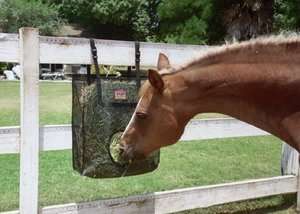 New Hold Your Horses Mesh Hanging Feeder Bag  