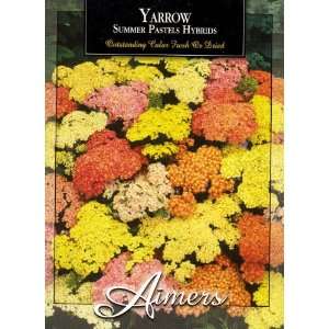  Aimers 3321 Yarrow Summer Pastels Hybrid Mix Seed Packet 