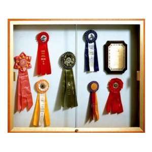  Wall Mounted Display Case with Plaque Fabric (48Wx36H 