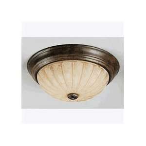  Ceiling Fixtures Quoizel YL183