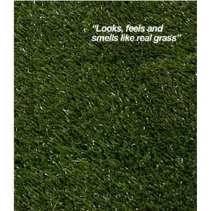  Pup Head Repl Grass 20 x 20