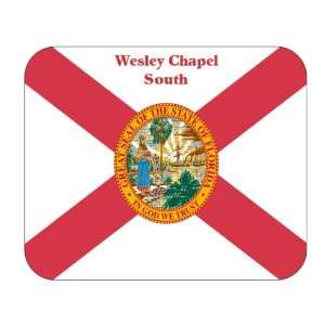  US State Flag   Wesley Chapel South, Florida (FL) Mouse 