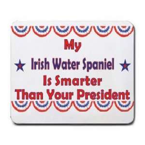 My Irish Water Spaniel Is Smarter Than Your President 