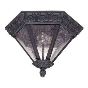 Nuvo 60/2037 Cortland 2 Light Outdoor Ceiling Lights in Satin Iron Ore