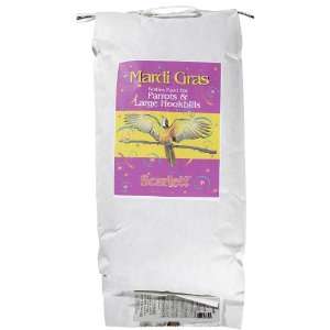 Scarlett Mardi Grass Parrot/Large Hookbill Treat Mix   20 