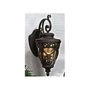  Outdoor Wall Sconces Quoizel FQ8312