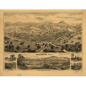  Historic Panoramic Map Birds eye view of Healdsburg, Cal 