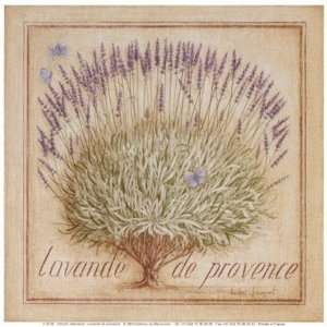   Lavande de provence by Vincent Jeannerot 8x8