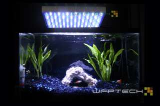 White Blue LED Aquarium Reef Coral Grow Light Panel 50W  