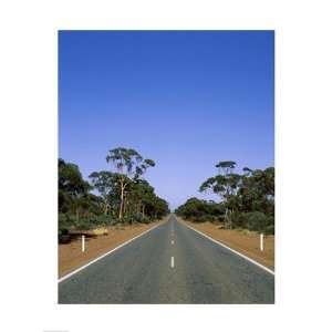  Road passing through a forest, Western Australia 