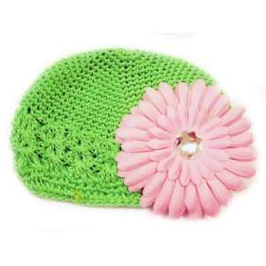   Fits 0   9 Months With a 4 Pink Gerbera Daisy Flower Hair Clip Baby