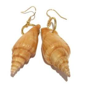 Shell Earrings 02 Spiral Sea Brown White Dangle Gold Steel 