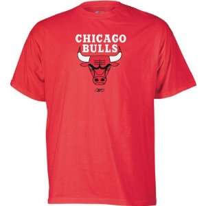  Chicago Bulls Youth True Team T Shirt