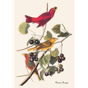 Summer Tanager 12x18 Giclee on canvas 