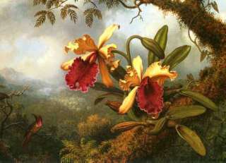 MARTIN JOHNSON HEADE Orchids and Hummingbird Bird Realism Print Repro 