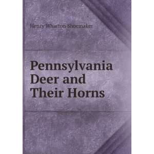 Pennsylvania Deer and Their Horns