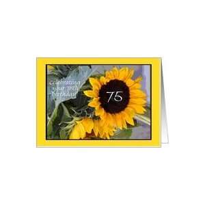  Sunflower 75th Birthday Card Toys & Games