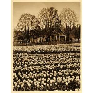  1926 Tulip Bulb Farm House Victoria Vancouver Island BC 