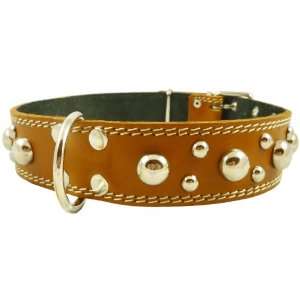   Dog Collar. Fits 21.5 26 Neck, XLarge Breeds Newfoundland Pet
