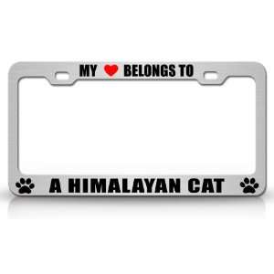  MY HEART BELONGS TO A HIMALAYAN Cat Pet Auto License Plate 