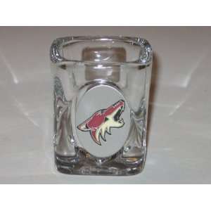  PHOENIX COYOTES Team Logo SHOT GLASS with Pewter Logo 