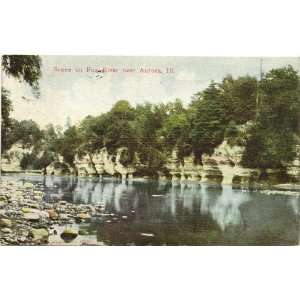   Postcard   Scene on Fox River   Aurora Illinois 