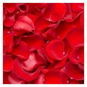 Rose Petals Red  Grocery & Gourmet Food