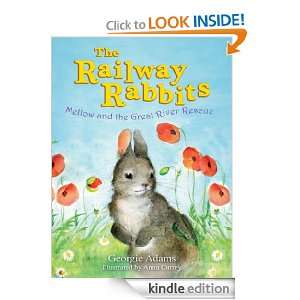  Mellow and the Great River Rescue The Railway Rabbits 