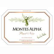 Montes Alpha Pinot Noir 2008 