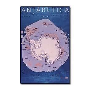  Poster   Wildlife of Antarctica (blemished)