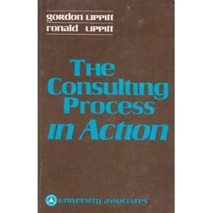  process in action Examining the dynamics of the client consultant 