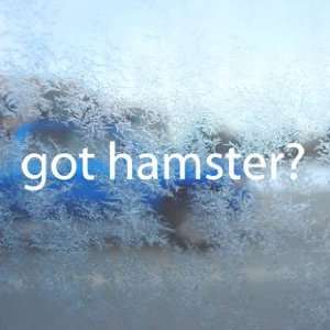  Got Hamster? White Decal Furry Animal Gerbil Car White 