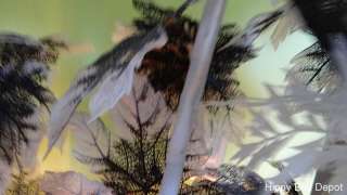   Century White Black Fern Leaf Plastic Tree Floor Light Lamp Vintage