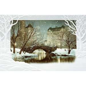  Twilight in Central Park Holiday Cards