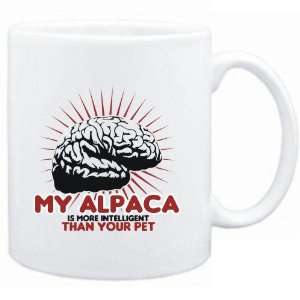   Alpaca is more intelligent than your pet  Animals