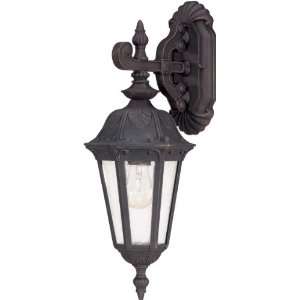 Nuvo 60/2036 Arm Down, Wall Lantern with Seeded Mist Glass, Satin Iron 