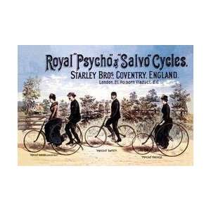  Royal Psycho and Salvo Cycles 20x30 poster