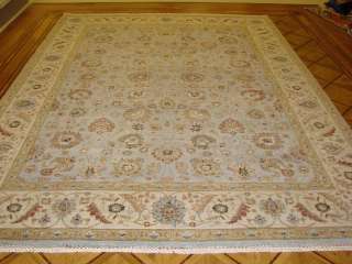 9x12 Light Blue & Ivory Plush Hand knotted Wool Persian Oriental Rug 