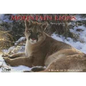  Mountain Lions A Book of 21 Postcards (9781563139338 