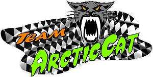 LG ARCTIC CAT TRAILER DECAL/DECALS/GRAPHICS NEW STYLE  