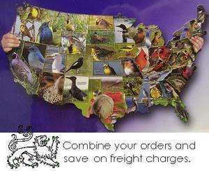 Jigsaw puzzle State Birds of the USA in the shape of the USA 1000 pc 
