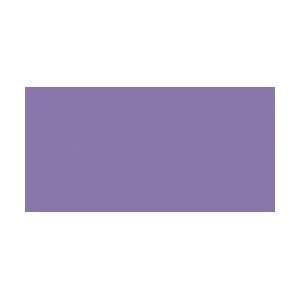  Jacquard Products Procion MX Dye 2/3 Ounce Bright Violet 