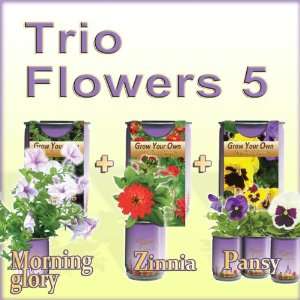  Grow Your Own Flowers (All In One Trio Pack Morning 