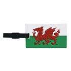   Wales Red Dragon Flag Luggage Tag Air Travel Holiday Souvenir Gift